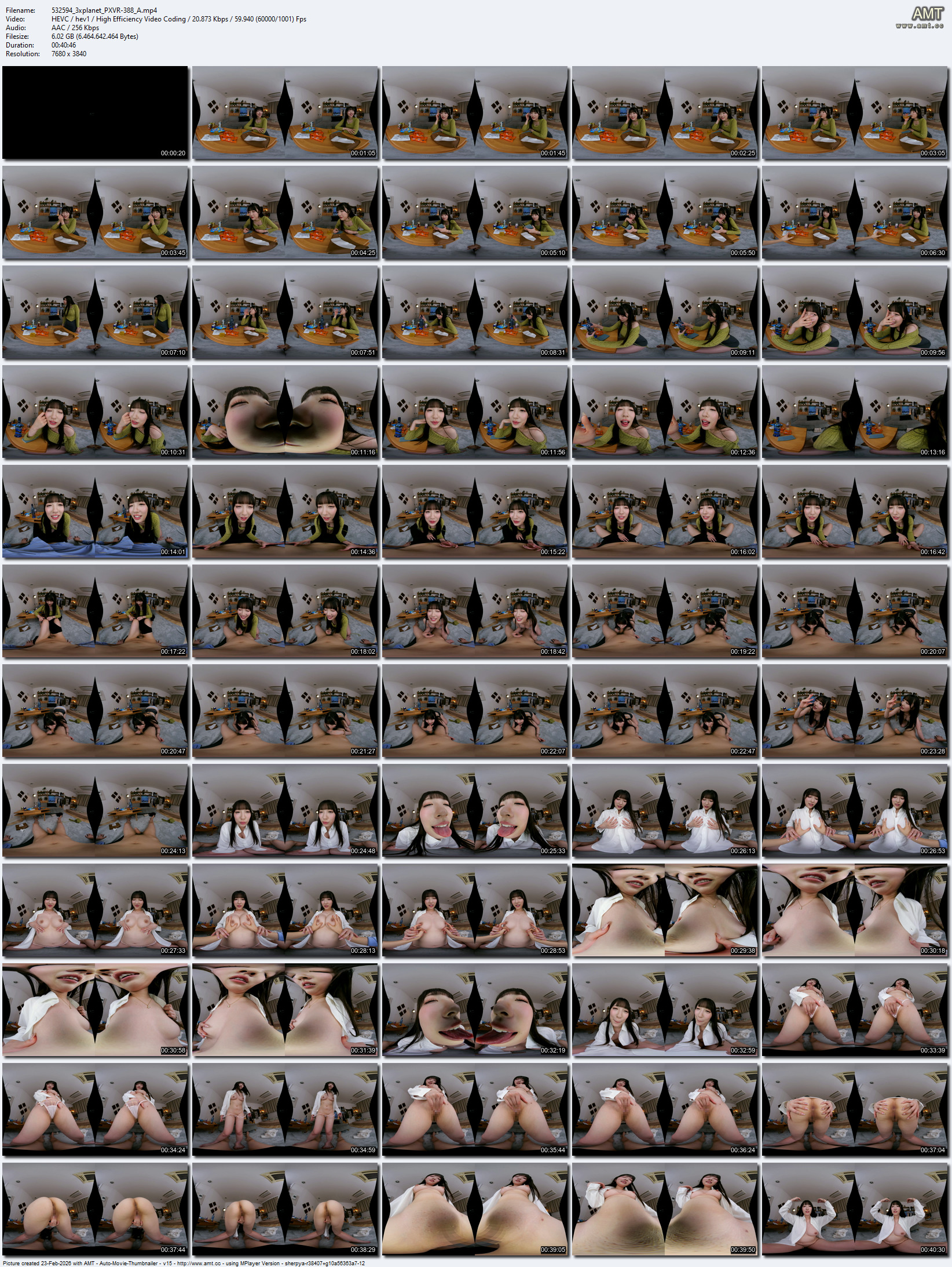 PXVR-388 screens previewer