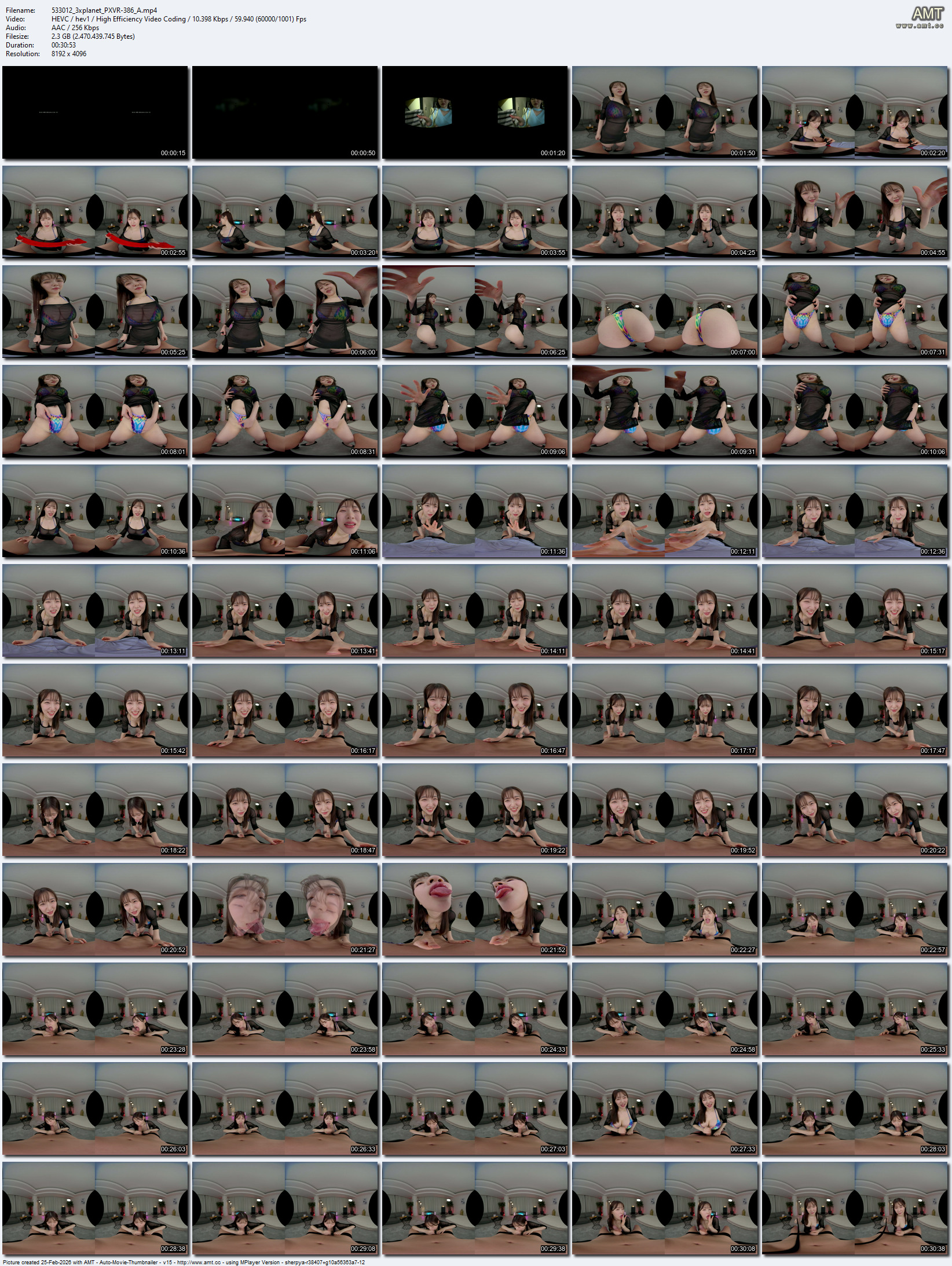 PXVR-386 screens previewer