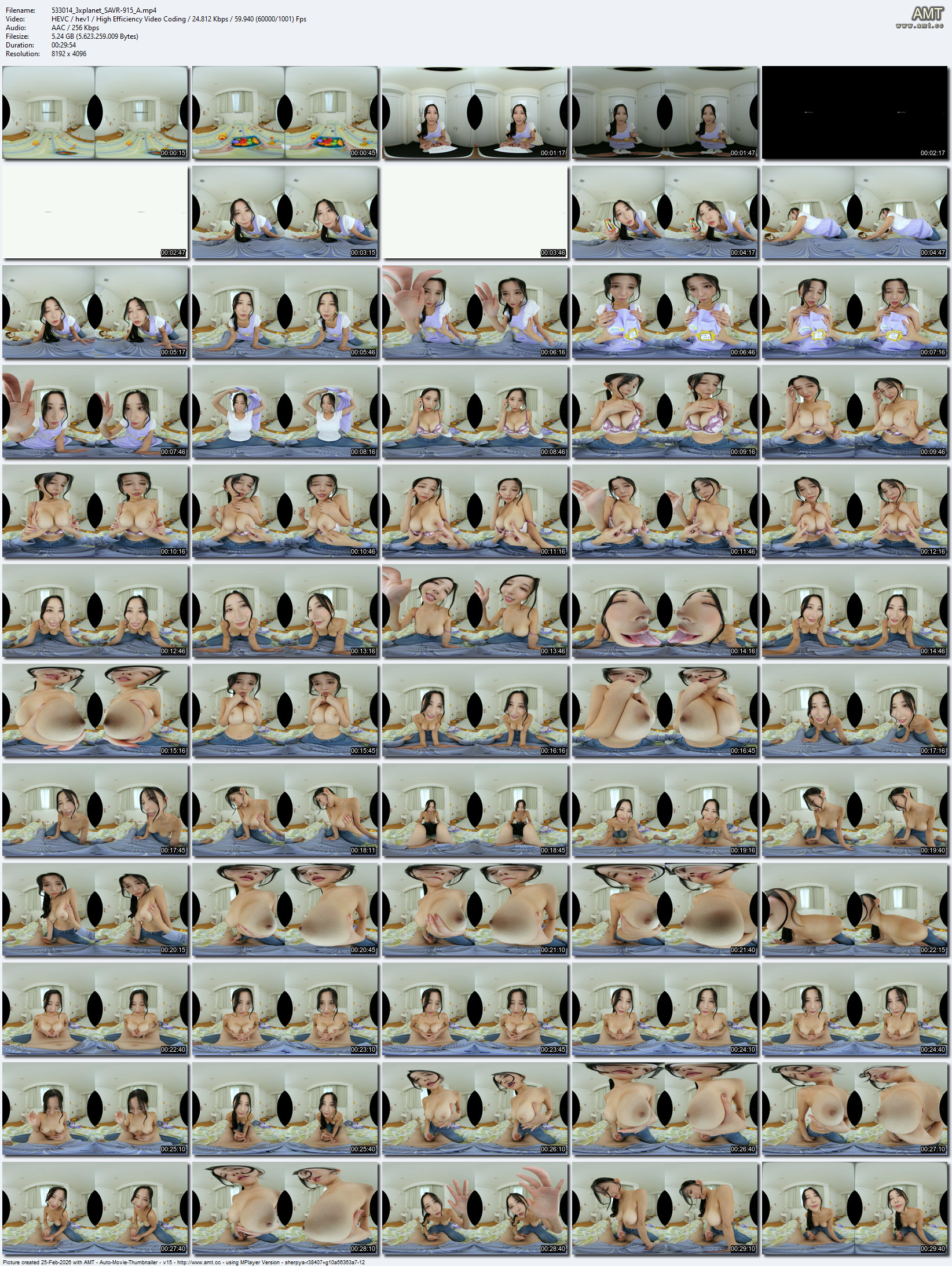 SAVR-915 screens previewer