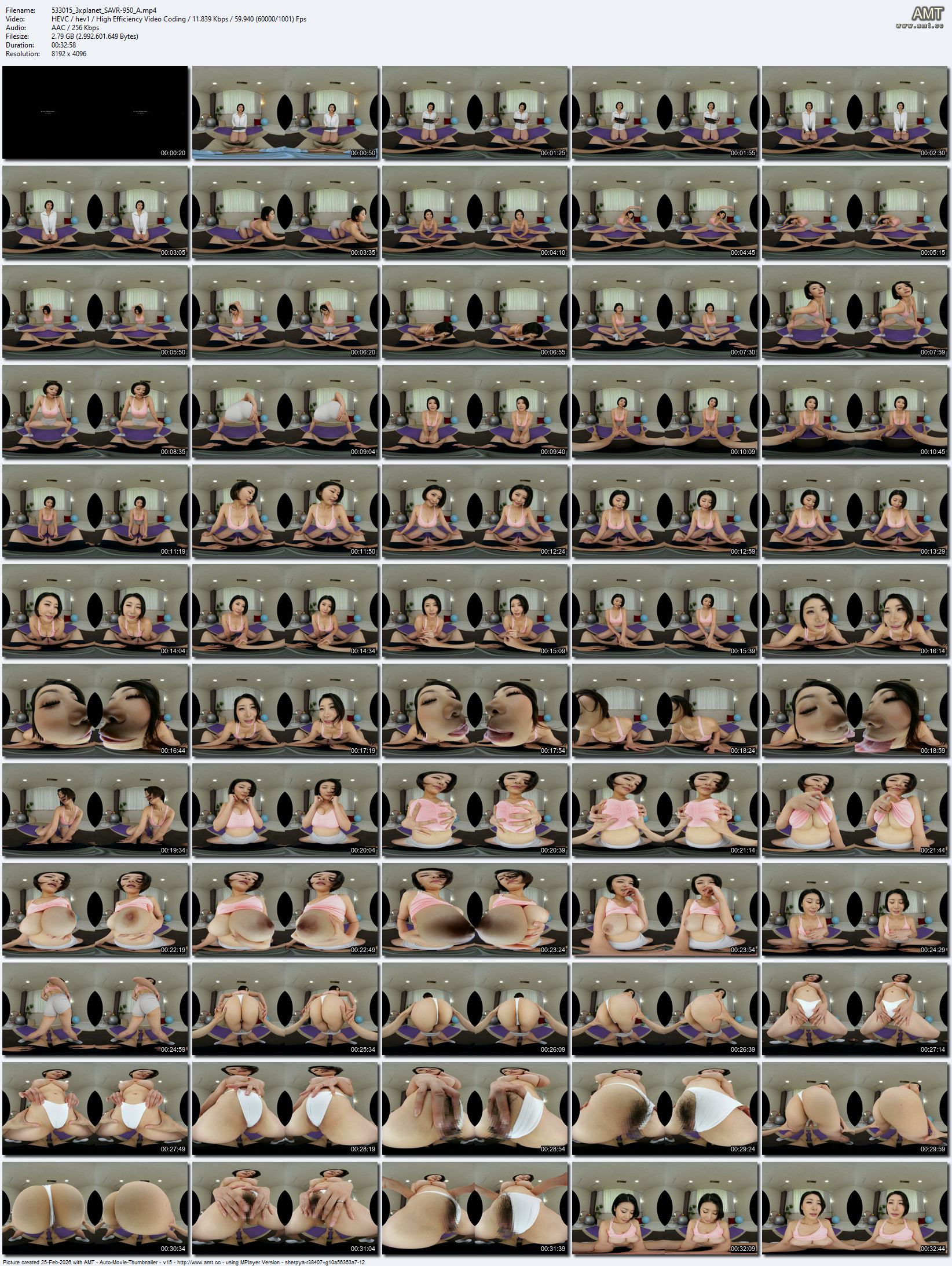 SAVR-950 screens previewer