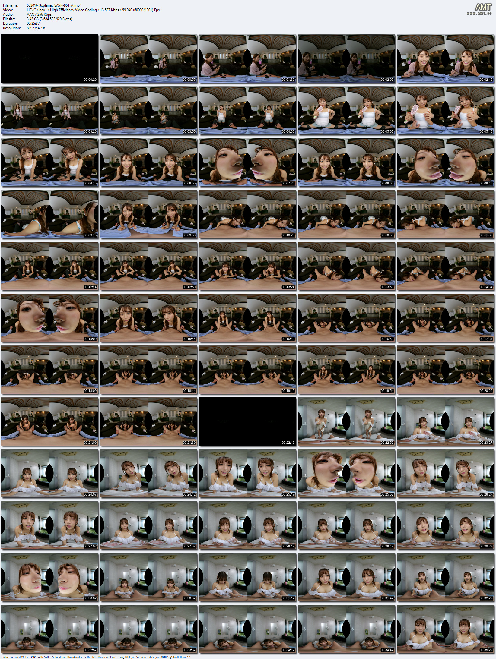 SAVR-961 screens previewer