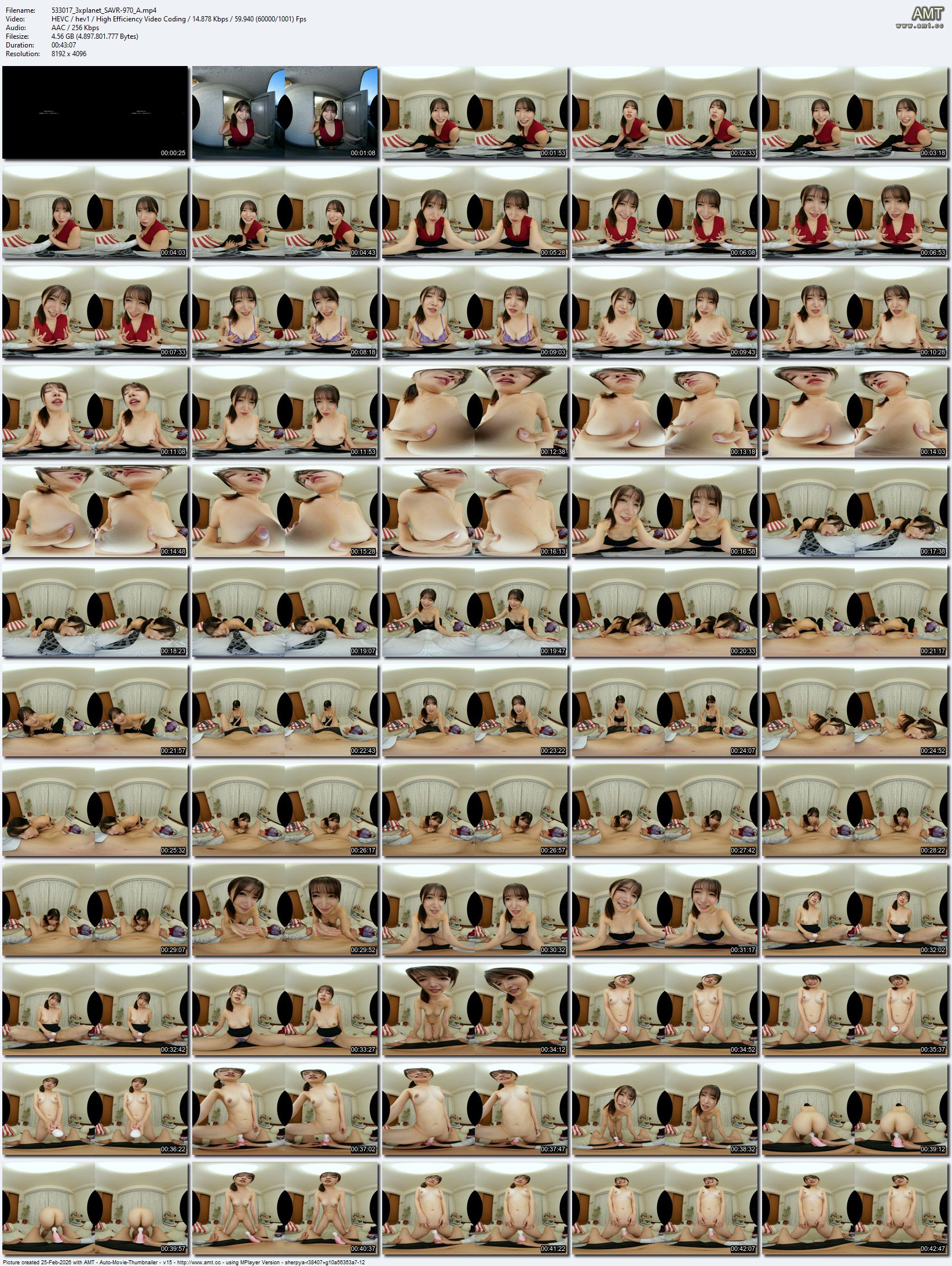 SAVR-970 screens previewer