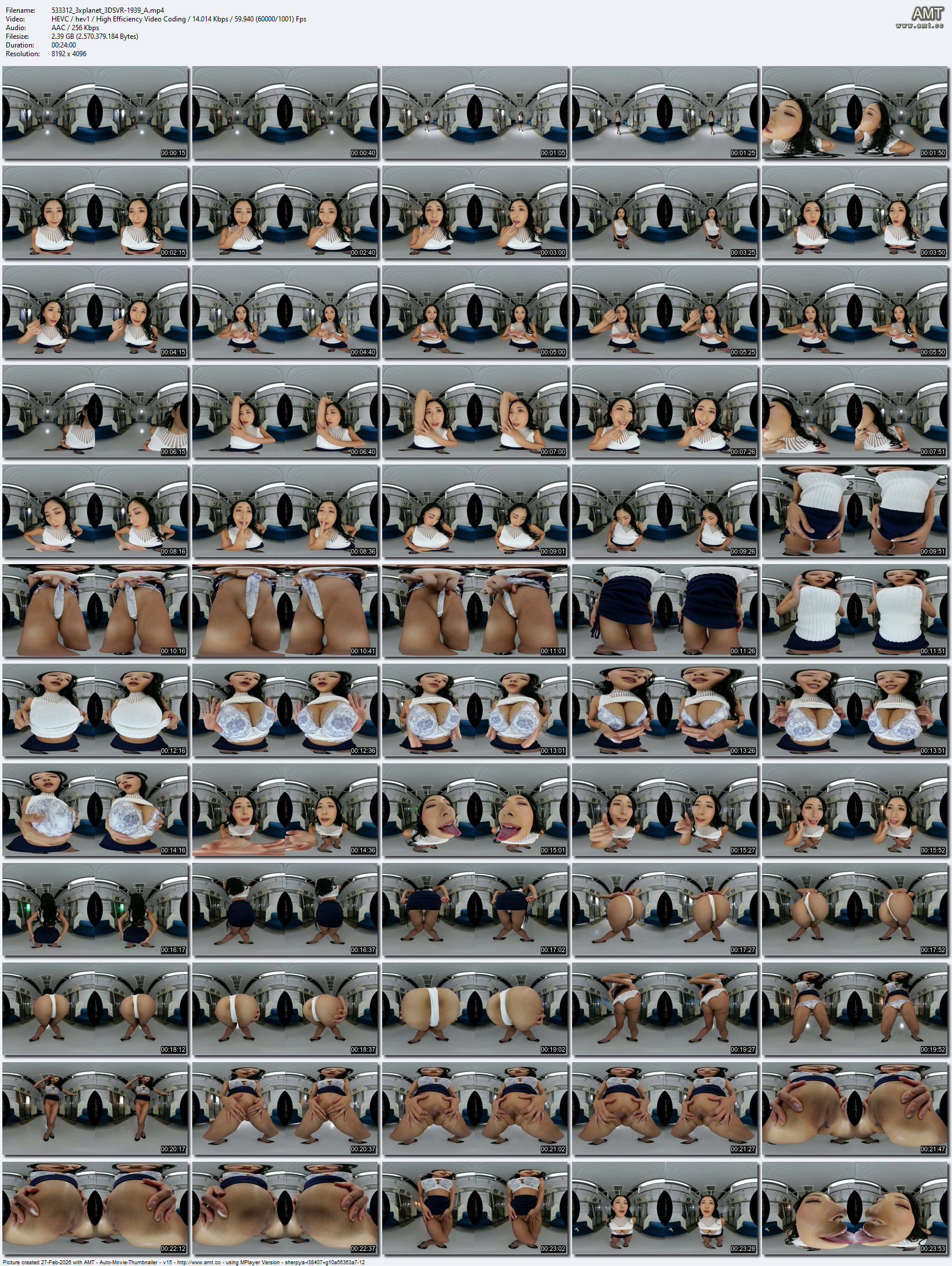 3DSVR-1939 screens previewer