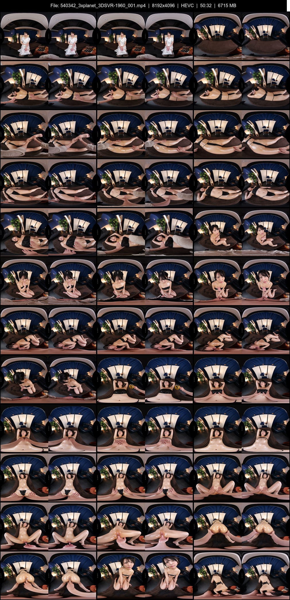 3DSVR-1960_001 screens previewer