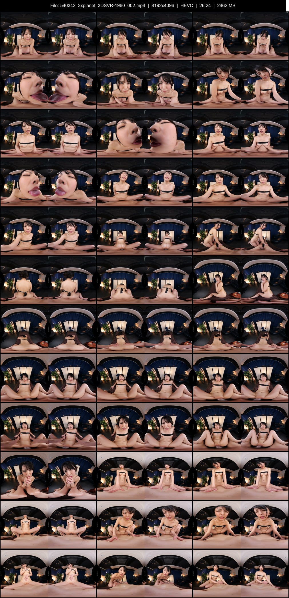 3DSVR-1960_002 screens previewer