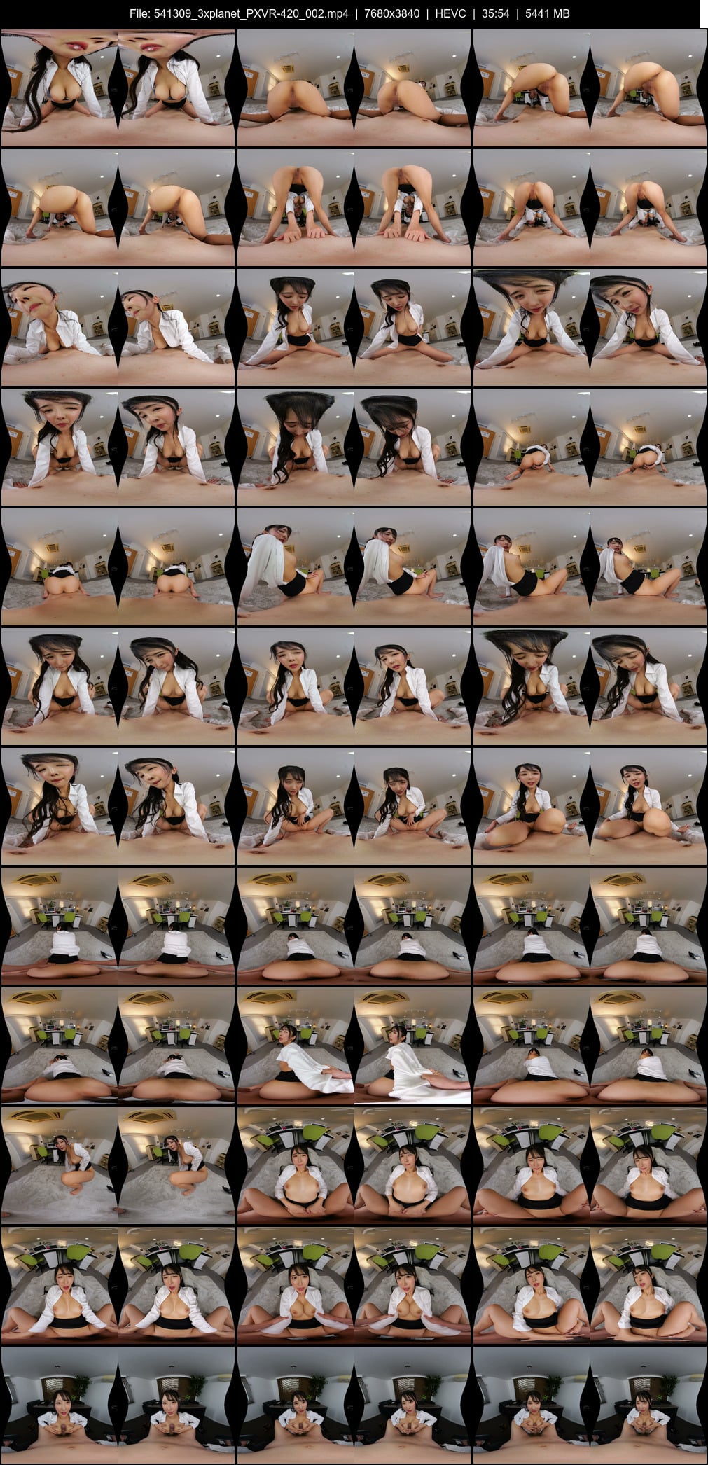 PXVR-420_002 screens previewer