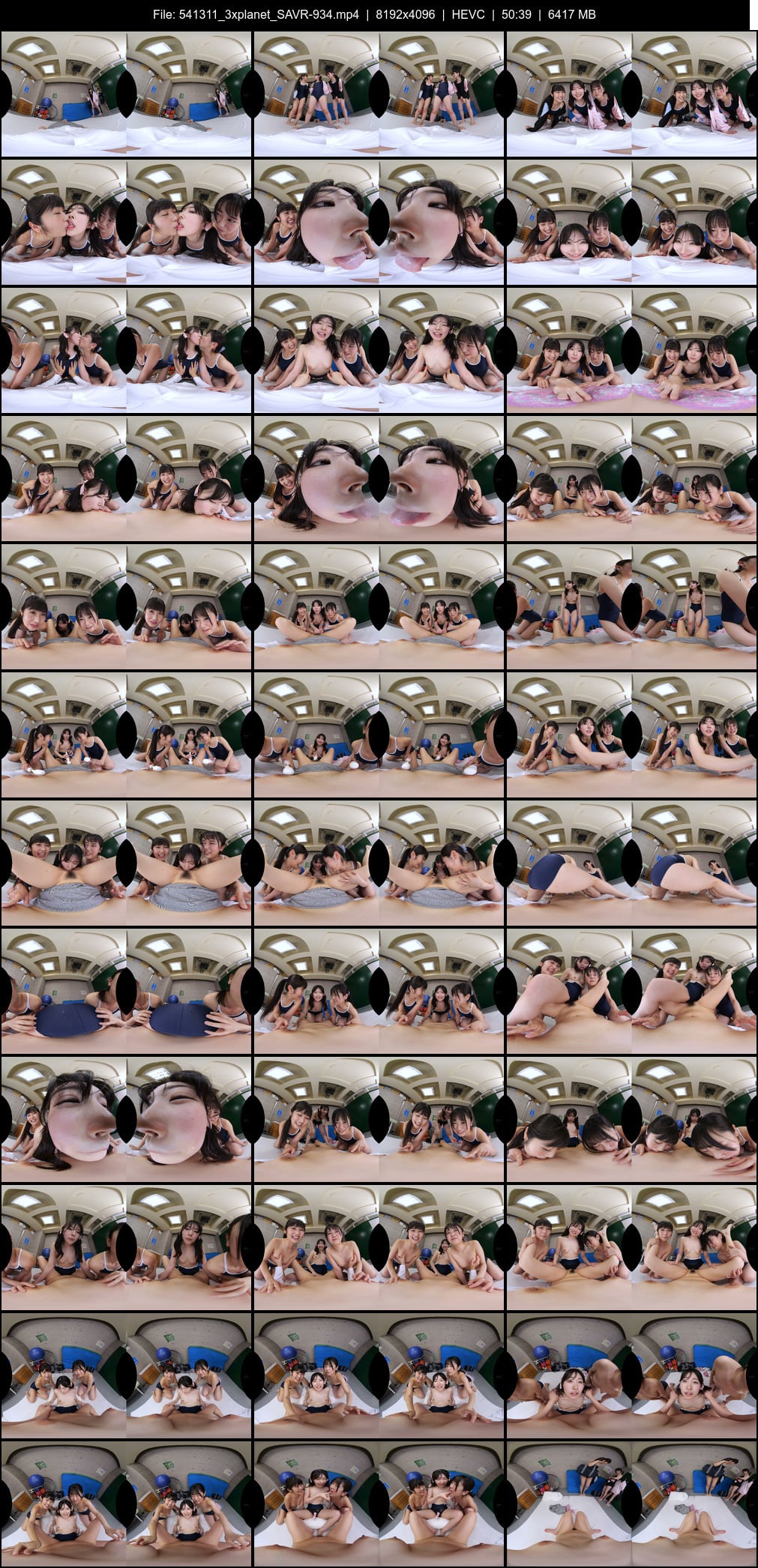 SAVR-934 screens previewer