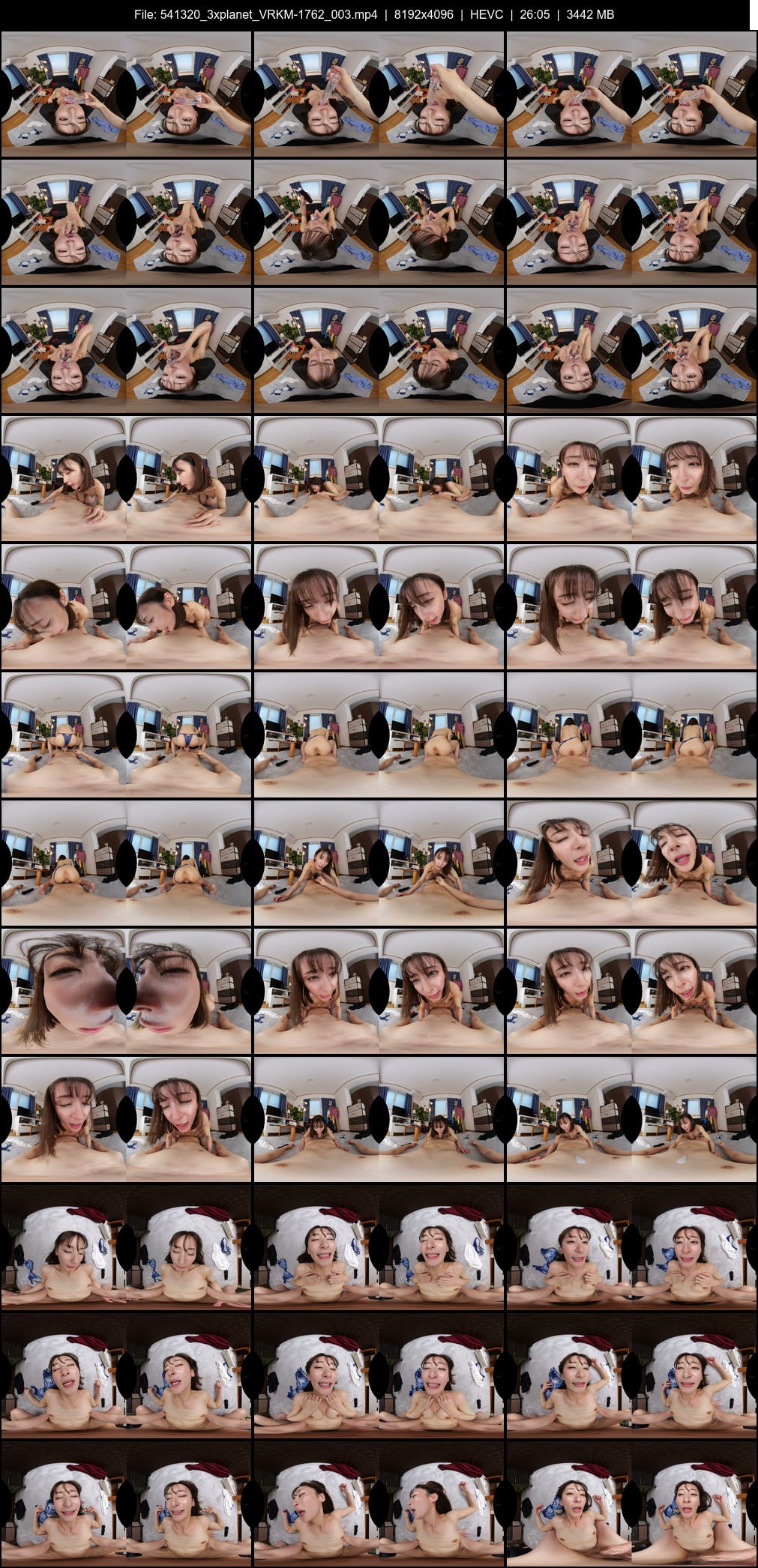 VRKM-1762_003 screens previewer