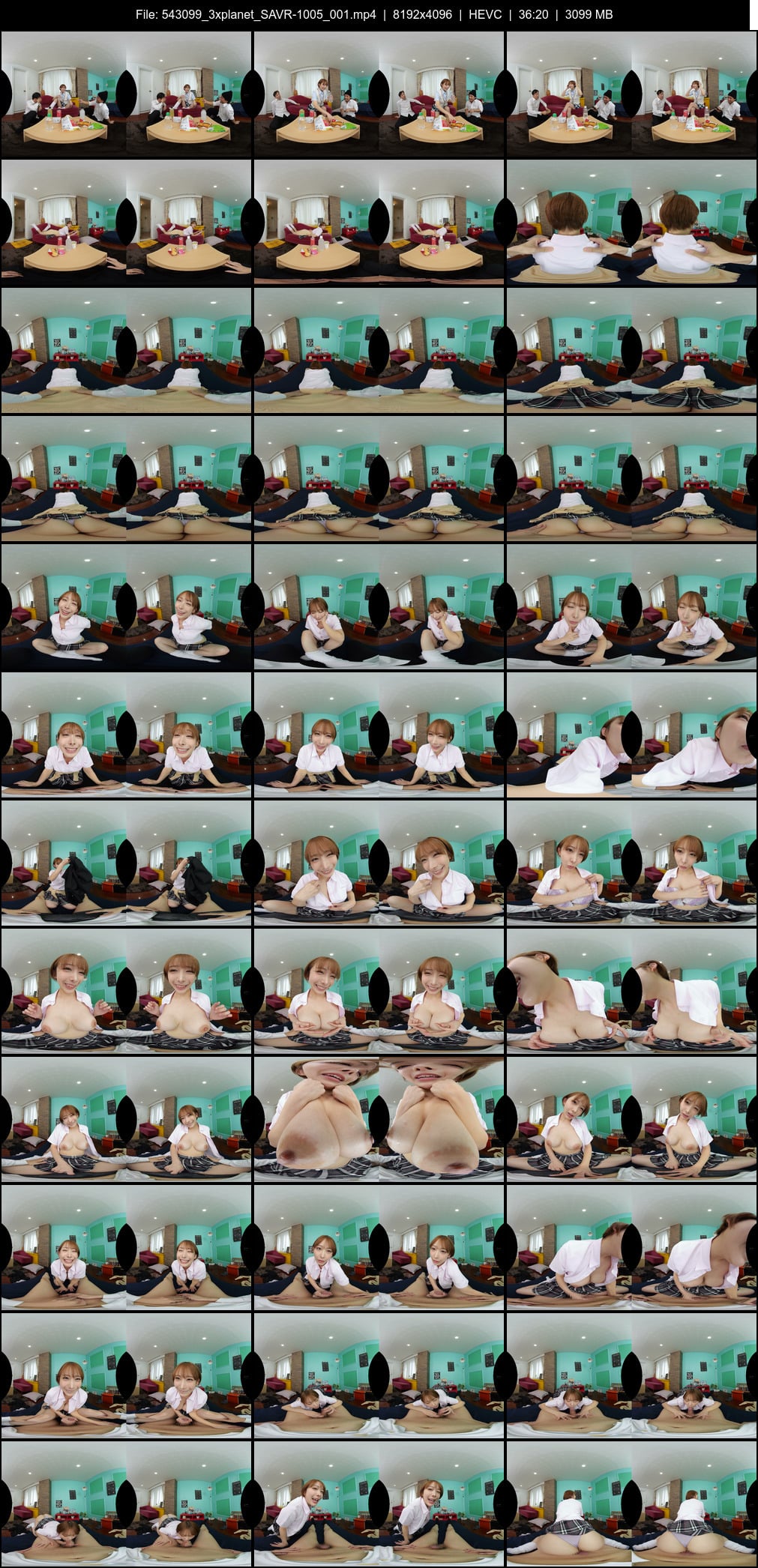 SAVR-1005_001 screens previewer