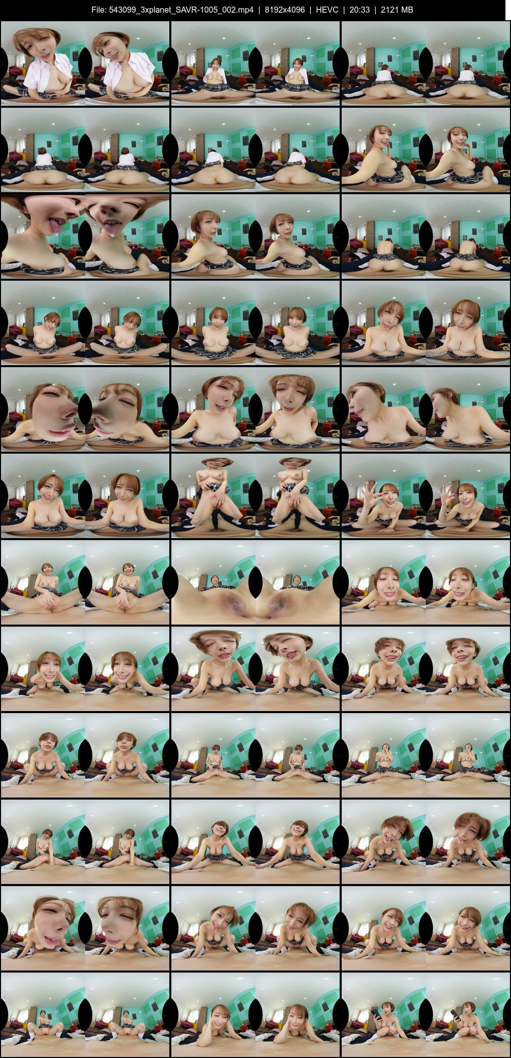 SAVR-1005_002 screens previewer