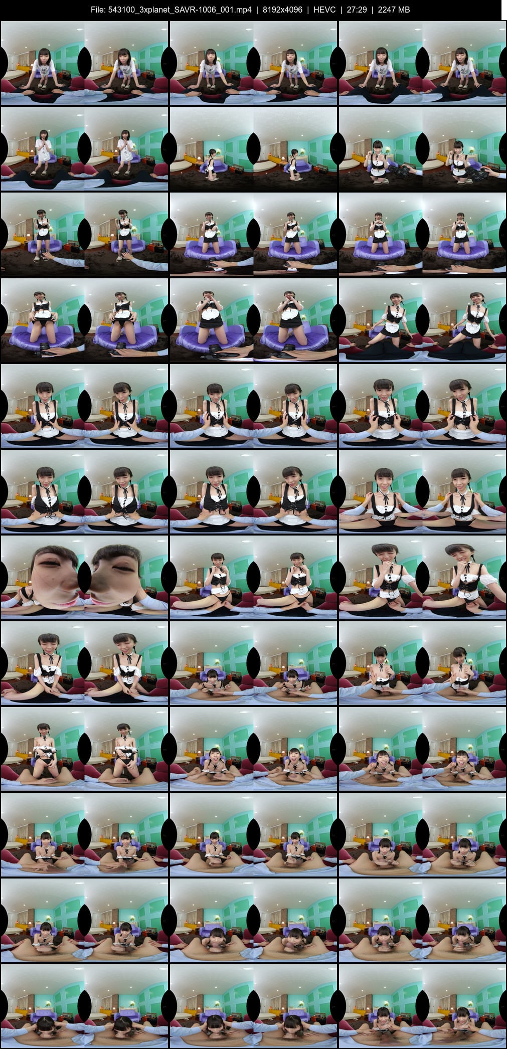 SAVR-1006_001 screens previewer