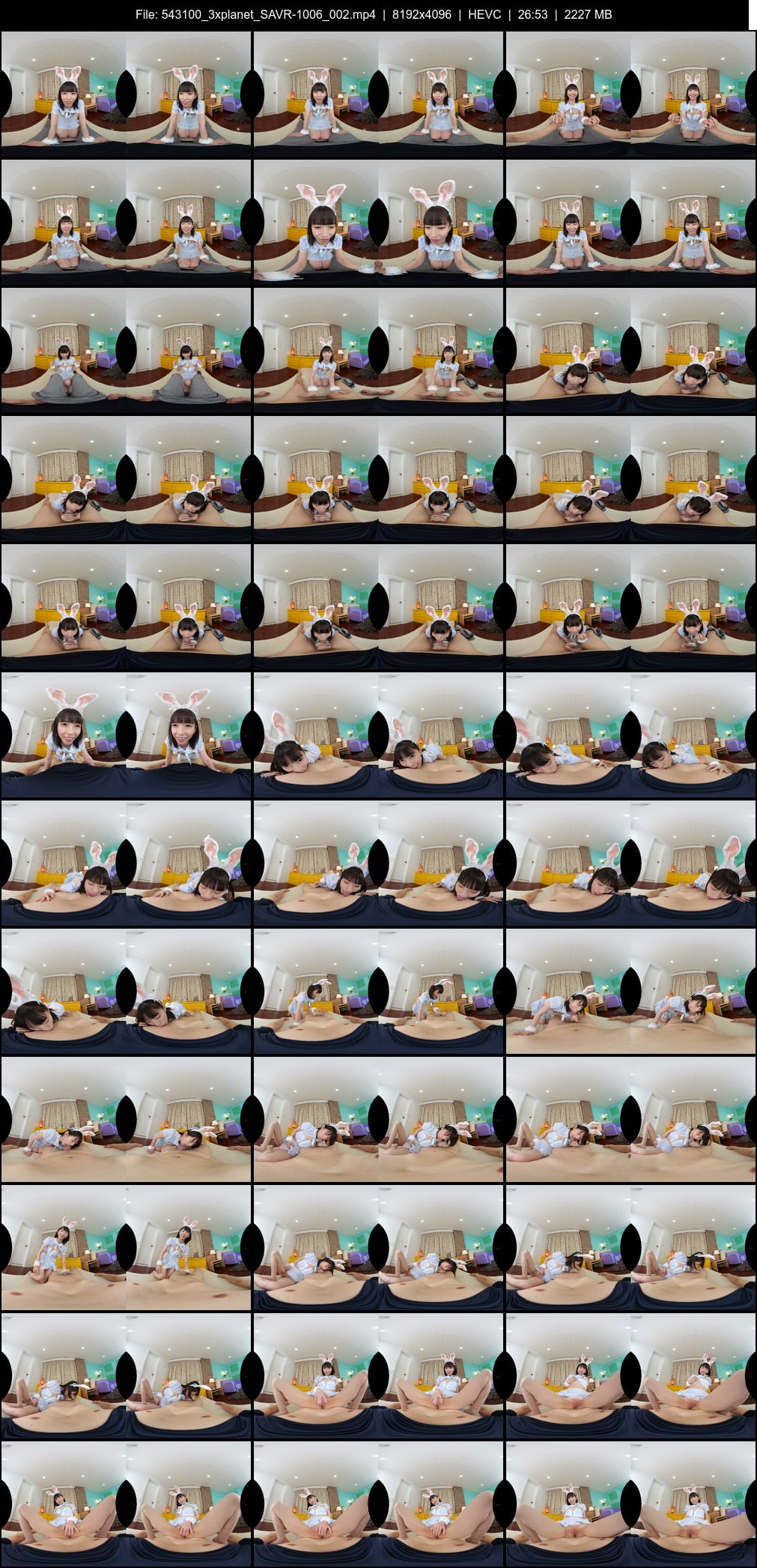 SAVR-1006_002 screens previewer