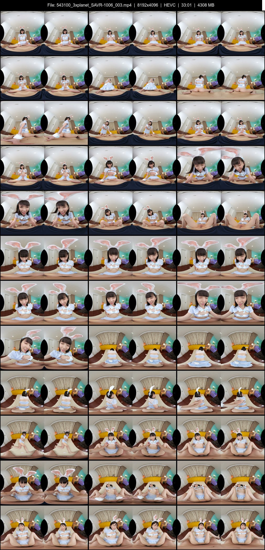 SAVR-1006_003 screens previewer