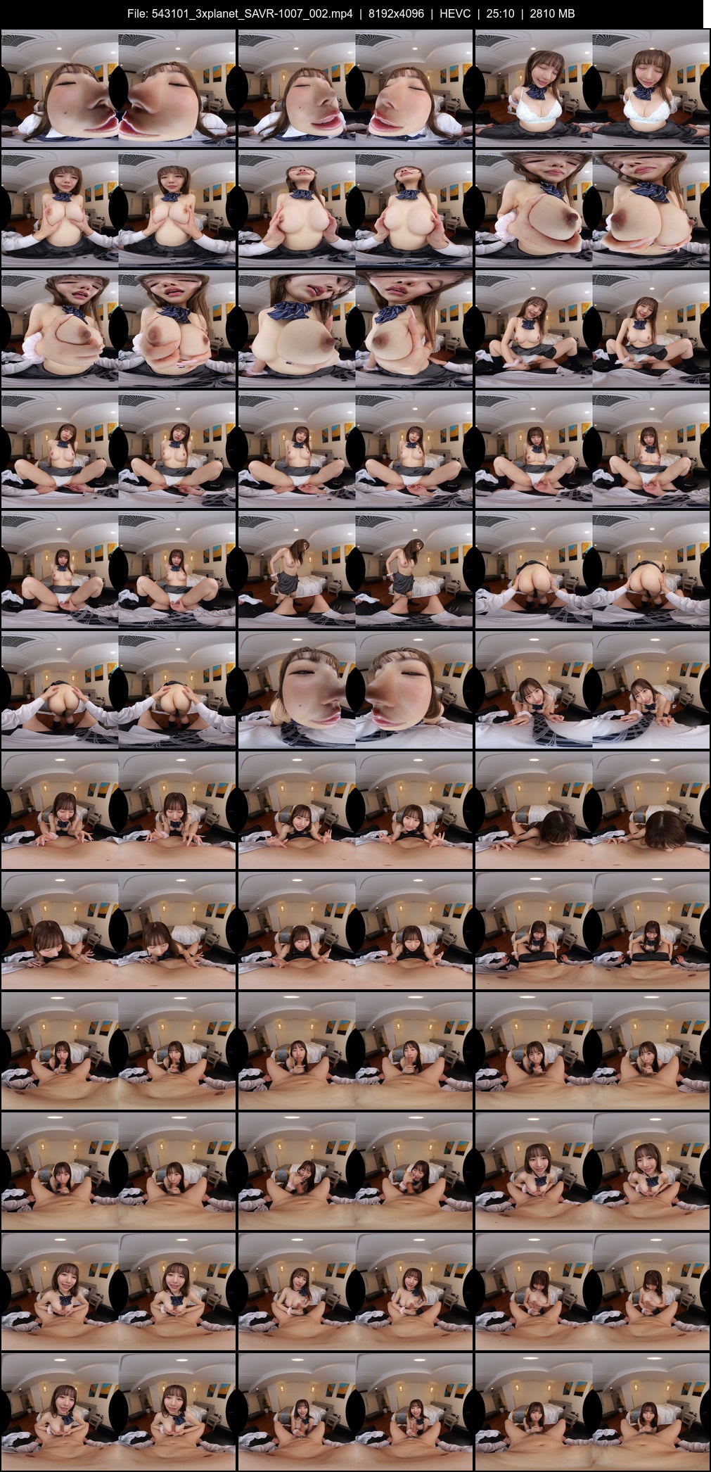 SAVR-1007_002 screens previewer