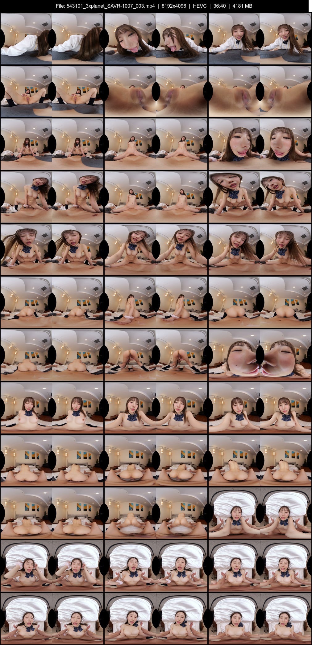 SAVR-1007_003 screens previewer