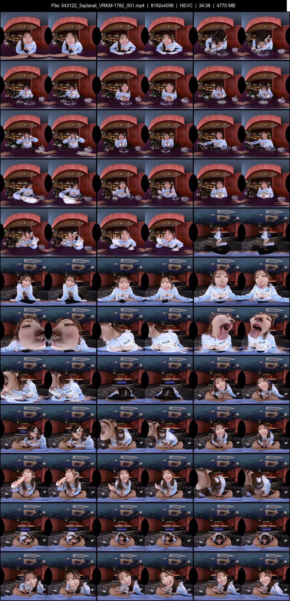 VRKM-1782_001 screens previewer