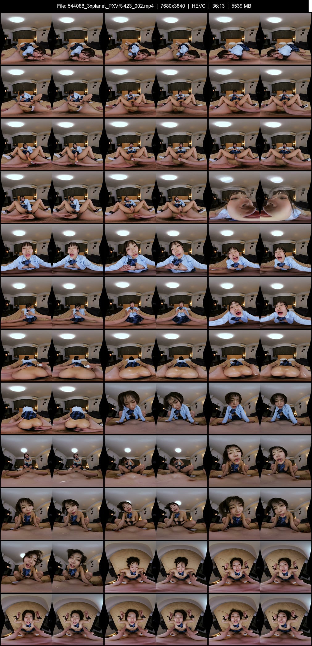 PXVR-423 screens previewer