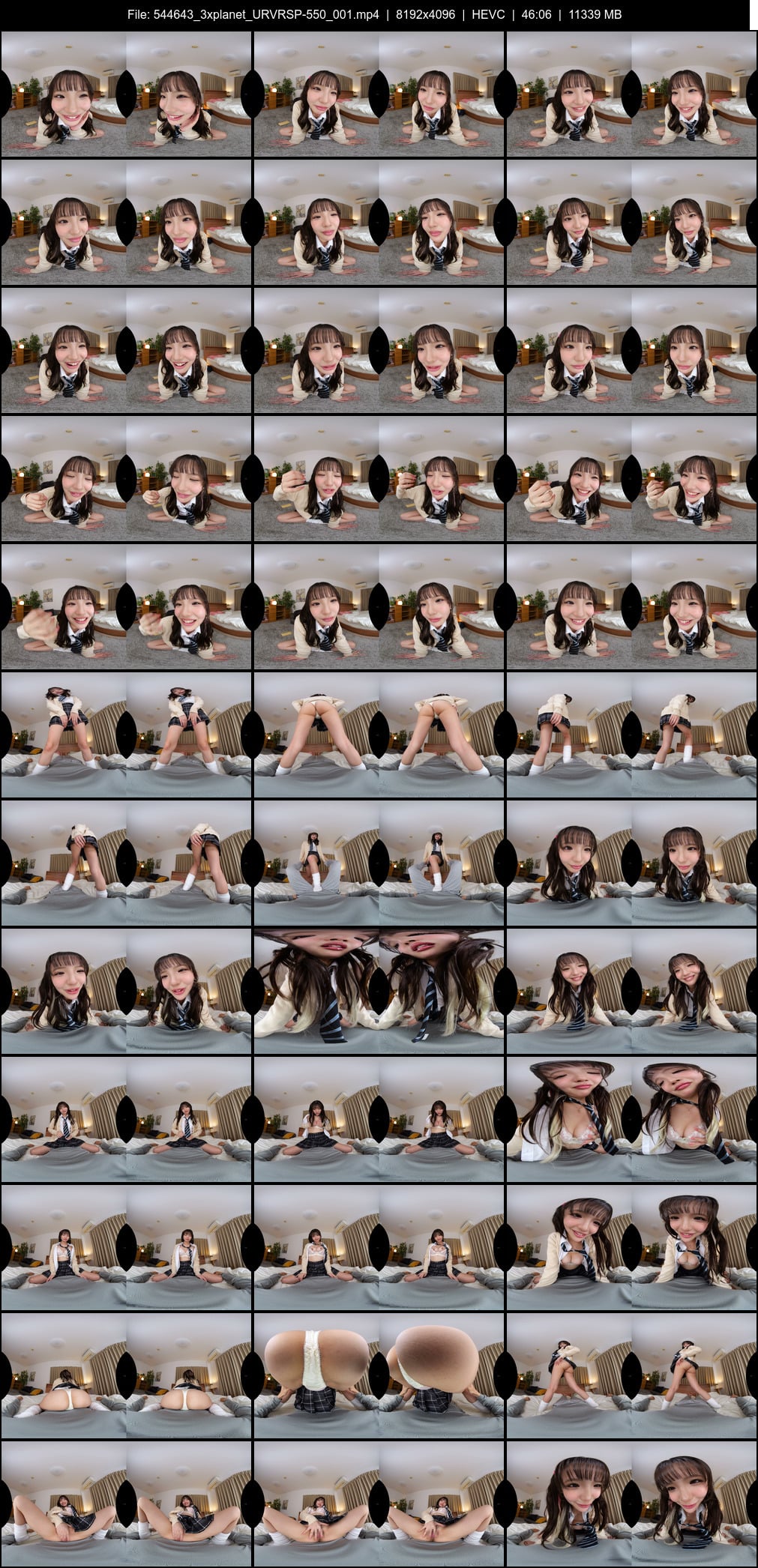 URVRSP-550 screens previewer