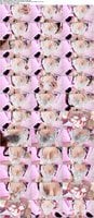 Canan-FC-2026-04-29 amateur