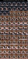 SAVR-1038 amateur