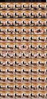 URVRSP-564 友保レナ