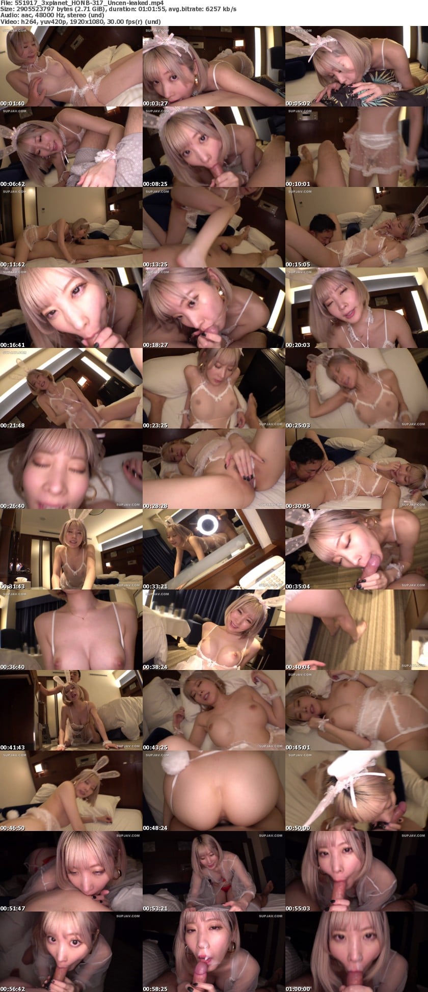 HONB-317_Uncen-leaked screens previewer