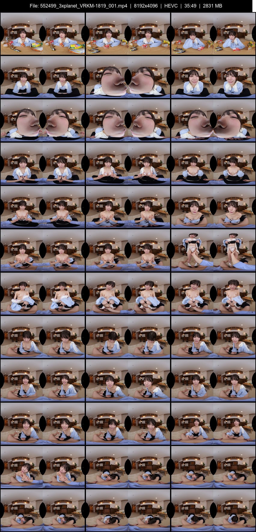 VRKM-1819 screens previewer