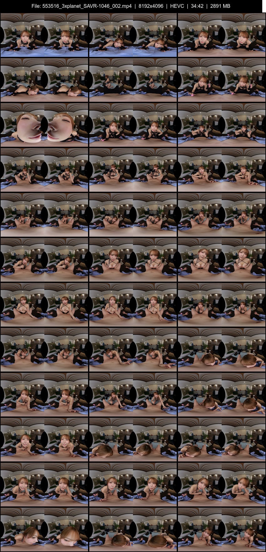 SAVR-1046 screens previewer
