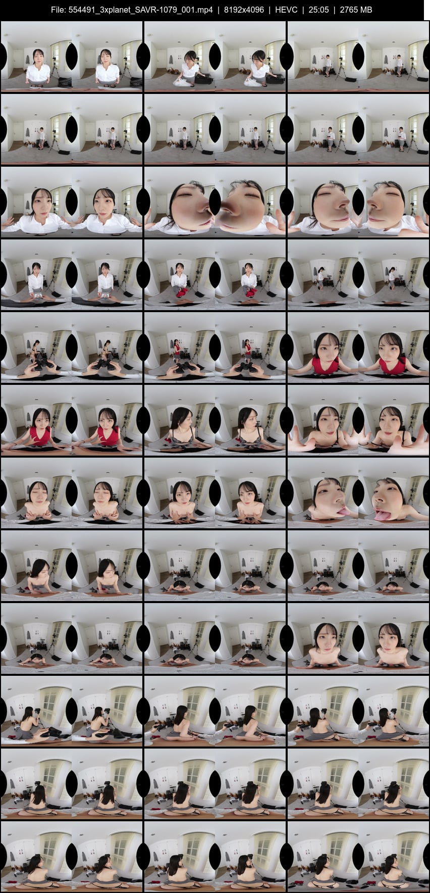 SAVR-1079 screens previewer