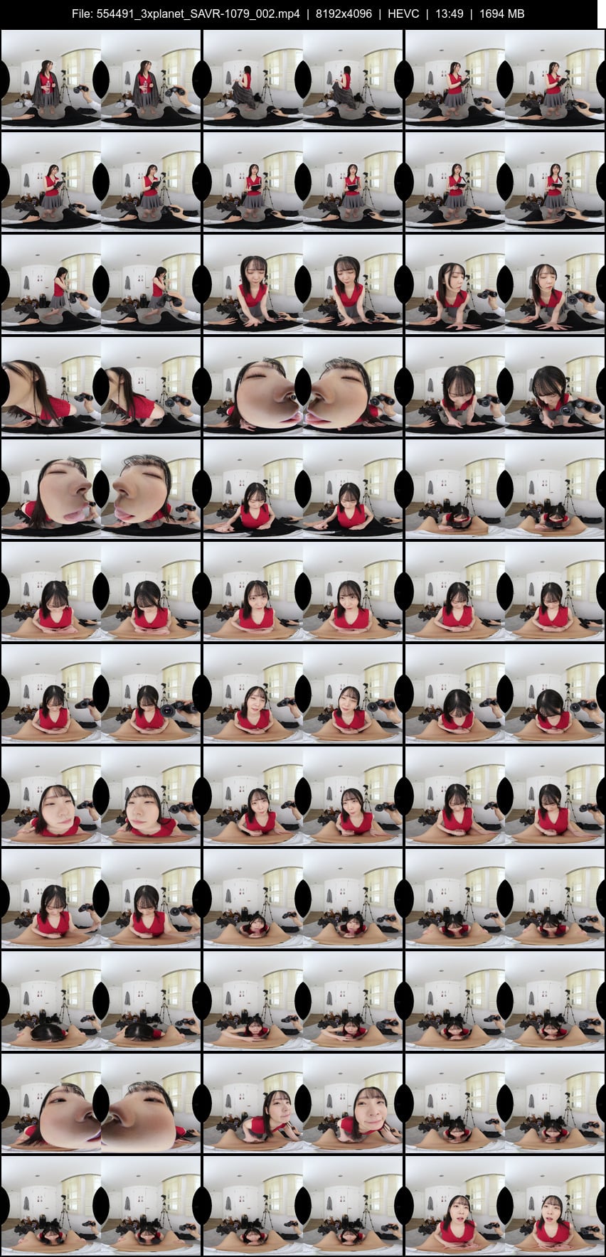 SAVR-1079 screens previewer
