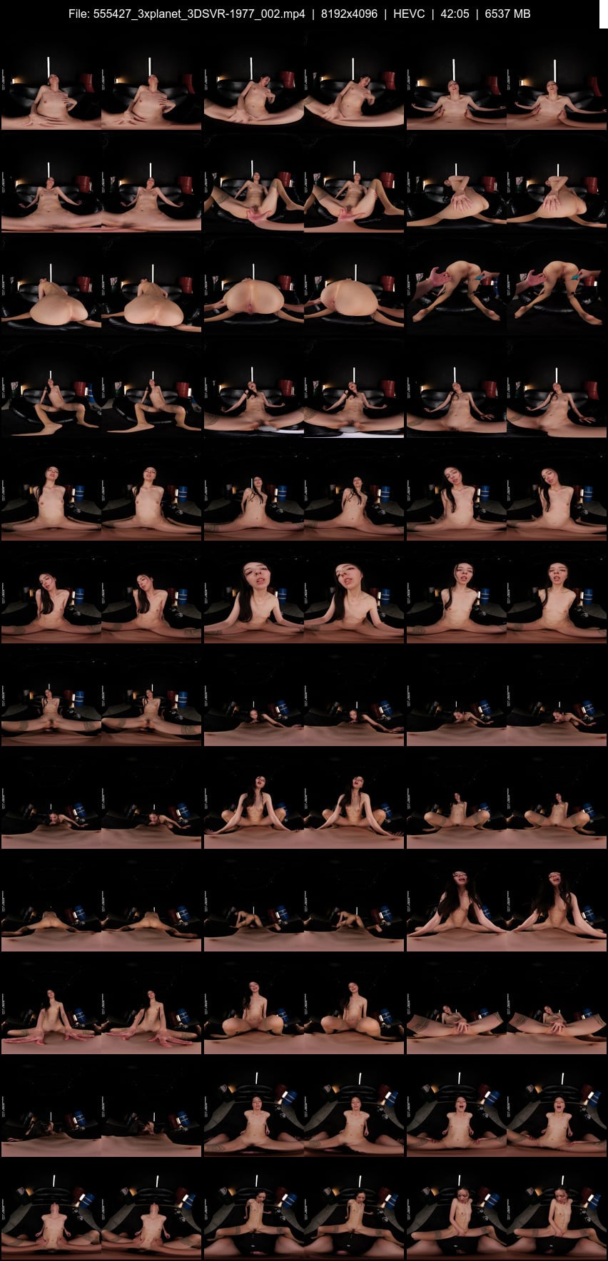3DSVR-1977 screens previewer