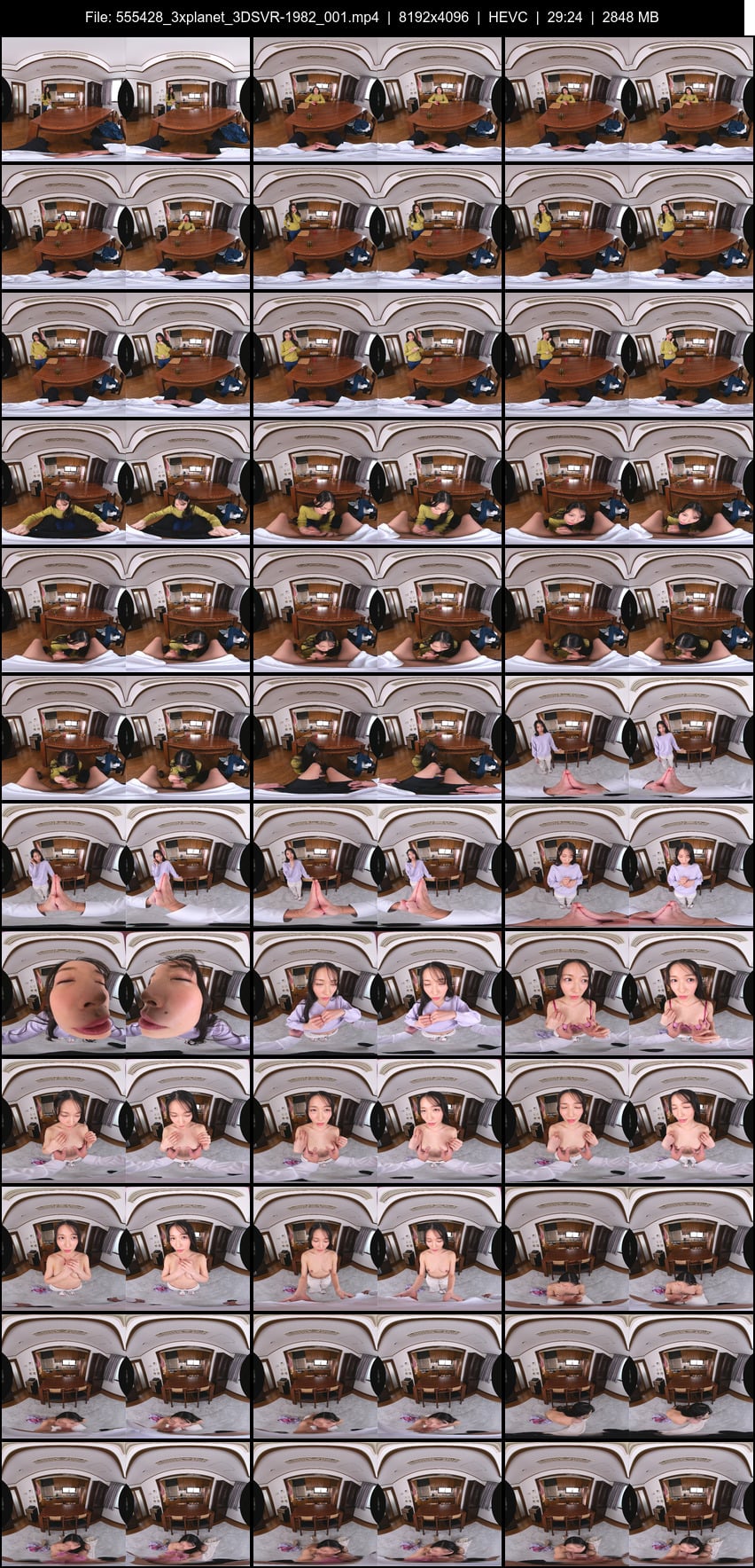 3DSVR-1982 screens previewer