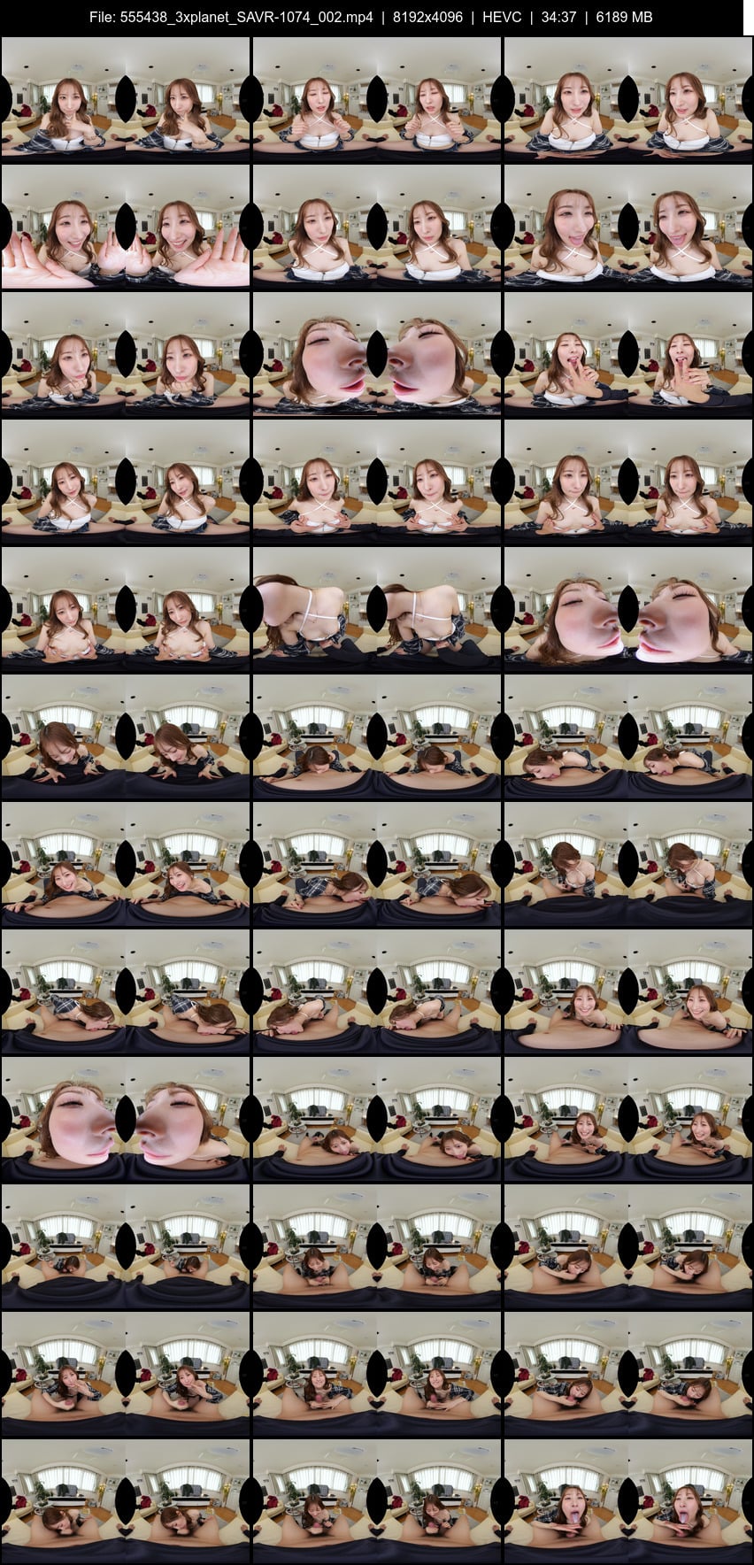 SAVR-1074 screens previewer