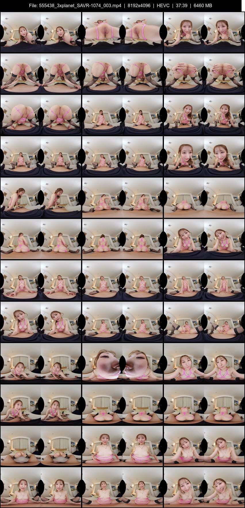 SAVR-1074 screens previewer