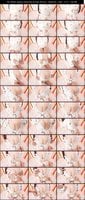 Fantia-Posts-05-2026 amateur