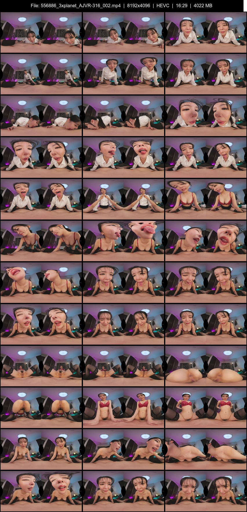 AJVR-316 screens previewer