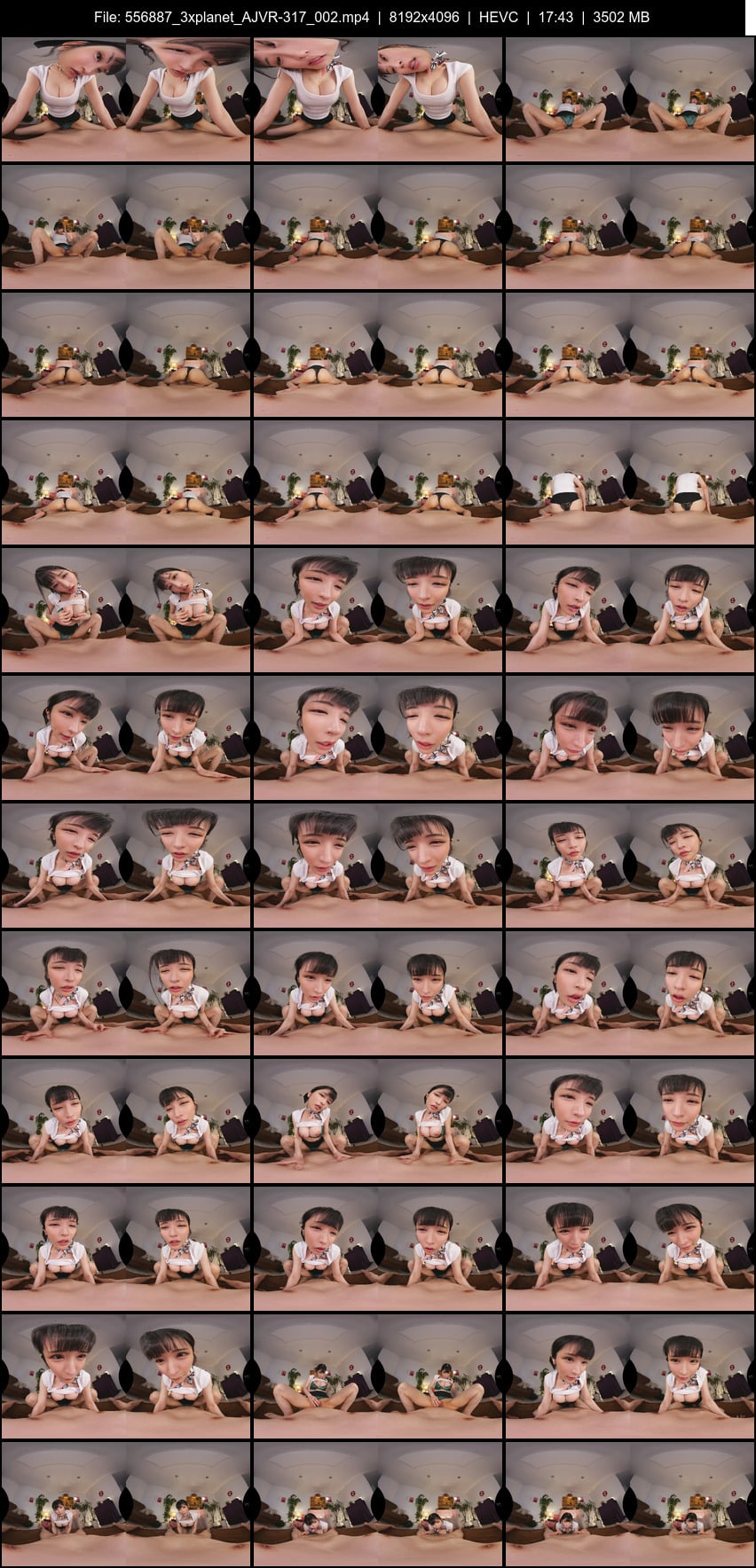 AJVR-317 screens previewer
