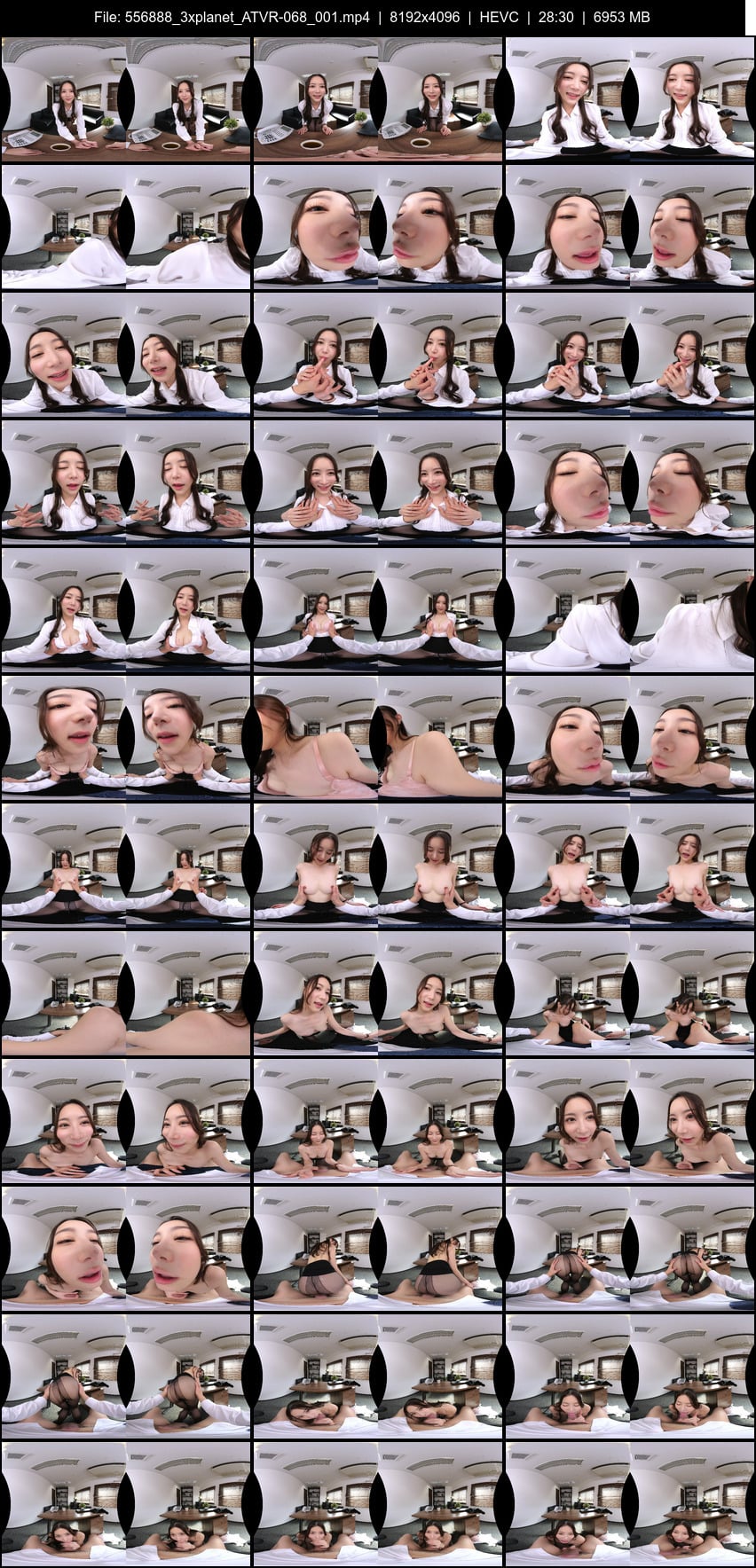ATVR-068 screens previewer