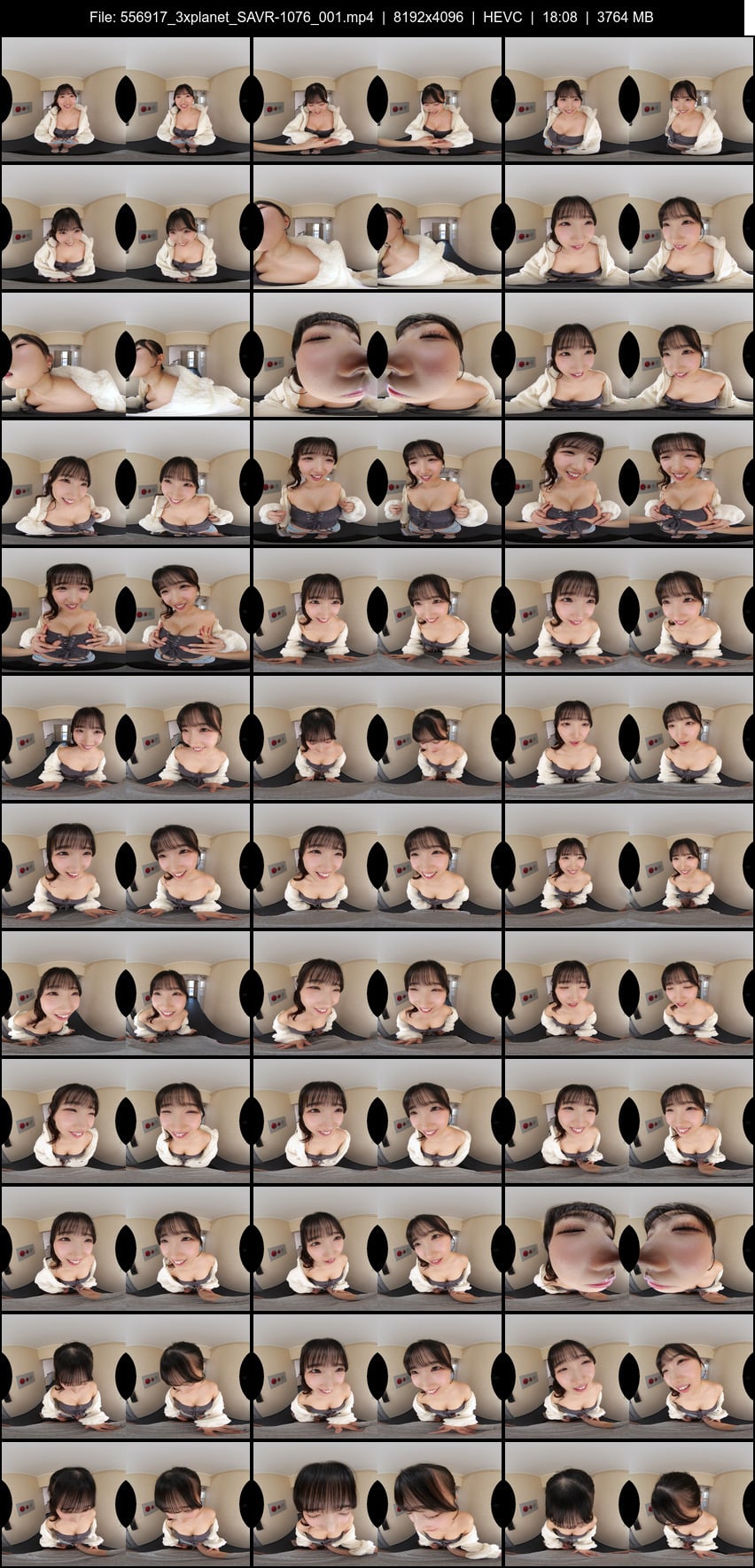 SAVR-1076 screens previewer