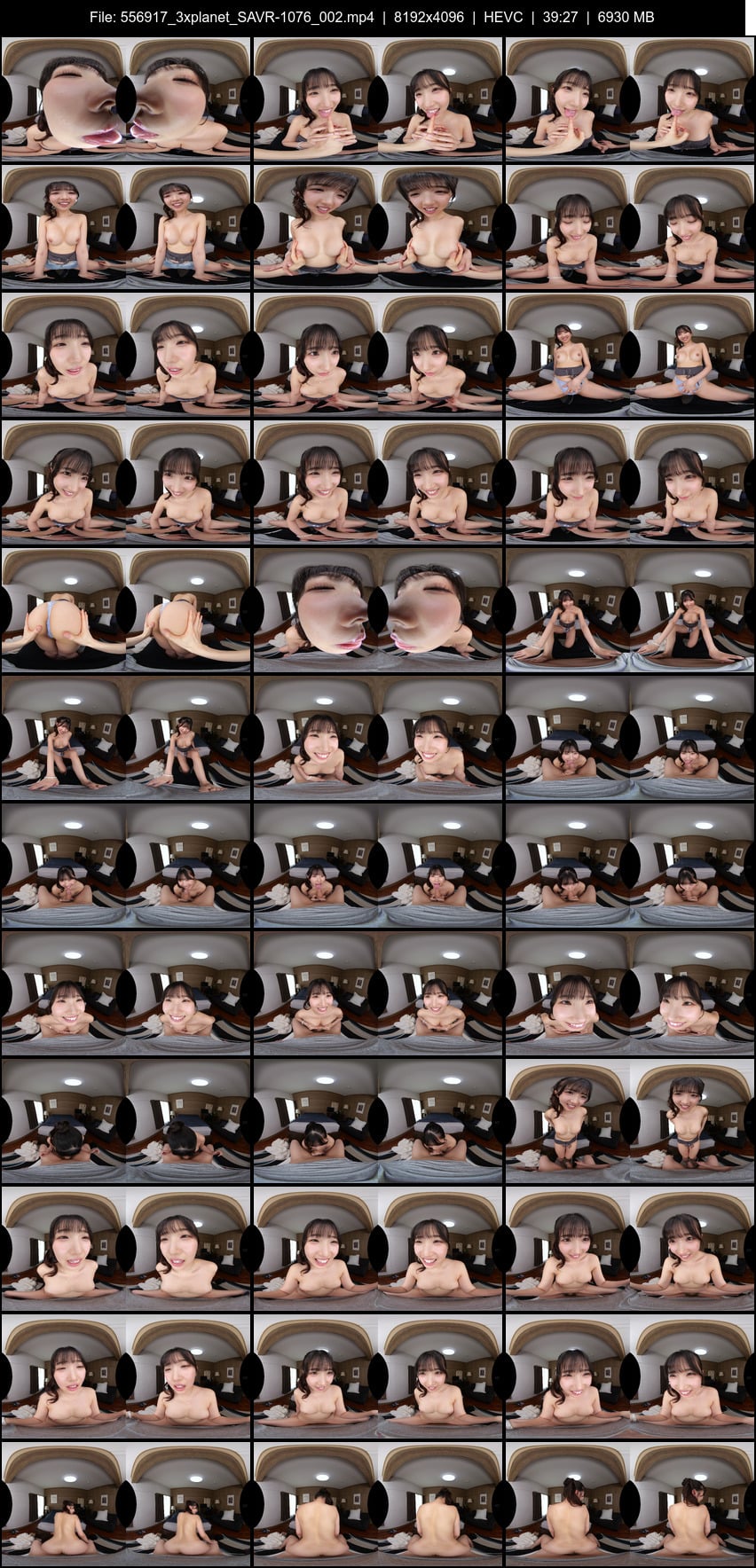 SAVR-1076 screens previewer
