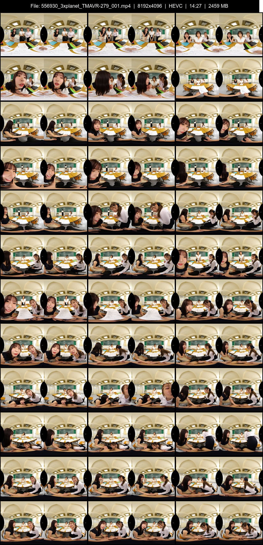 TMAVR-279 screens previewer
