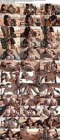 260315Neural-Desires-Desert-Sentinel-at-the-Edge-of-Tomorrow-2026-06-03 amateur
