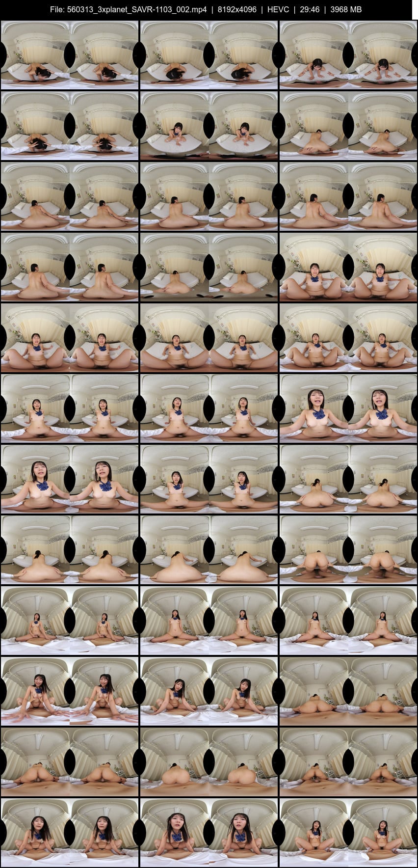 SAVR-1103 screens previewer