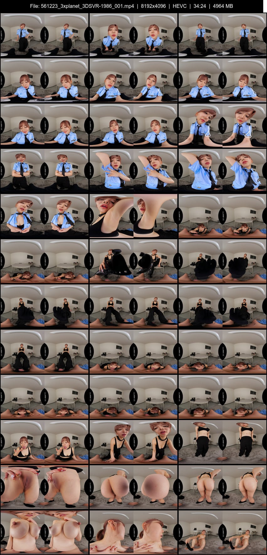 3DSVR-1986 screens previewer