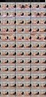 SAVR-1105 弥生みづき
