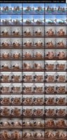 Naughty-America-VR-Candice-Dare-Daisy-Stone-Kenzie-Madison-H-2026-06-25 Candice Dare, Daisy Stone , Kenzie Madison