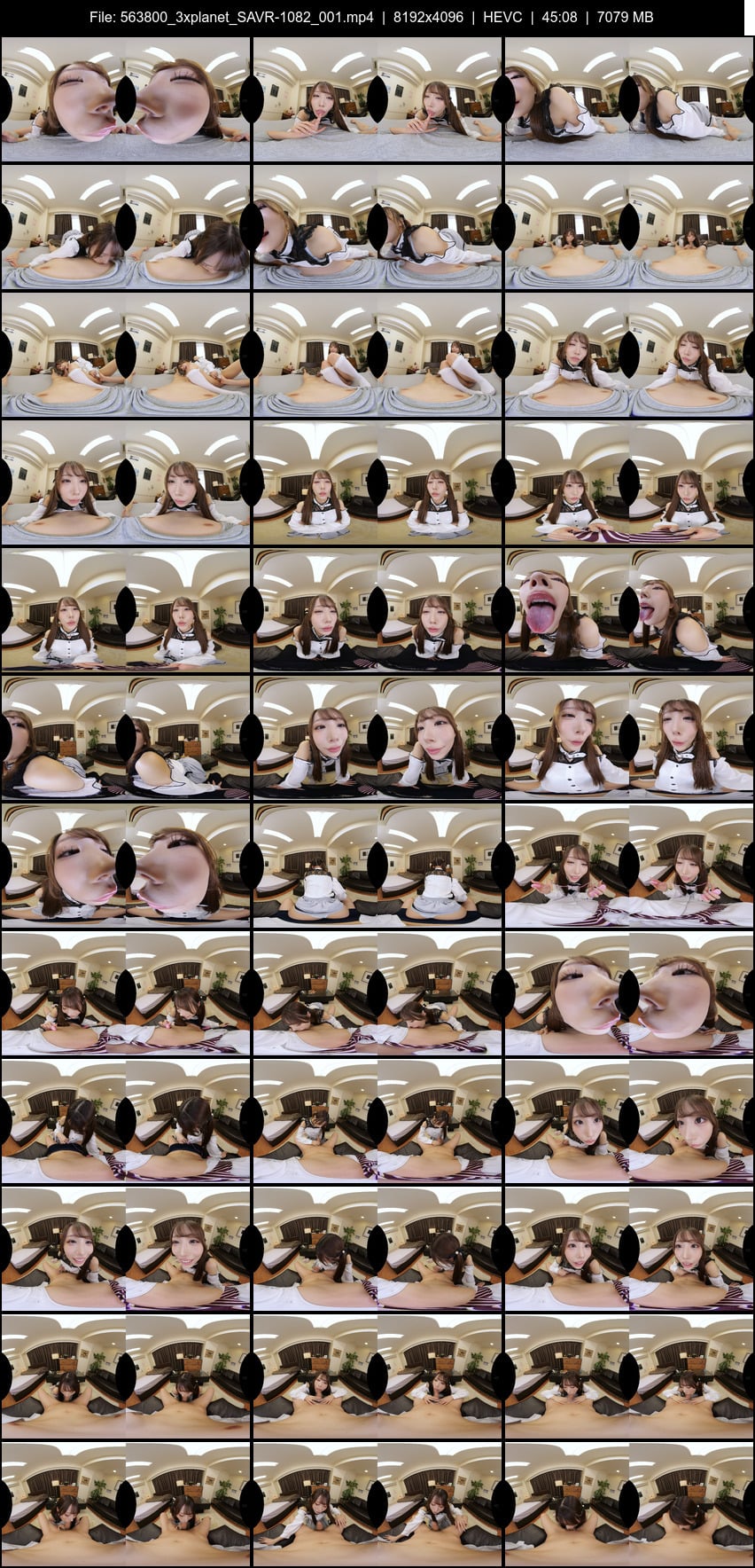 SAVR-1082 screens previewer