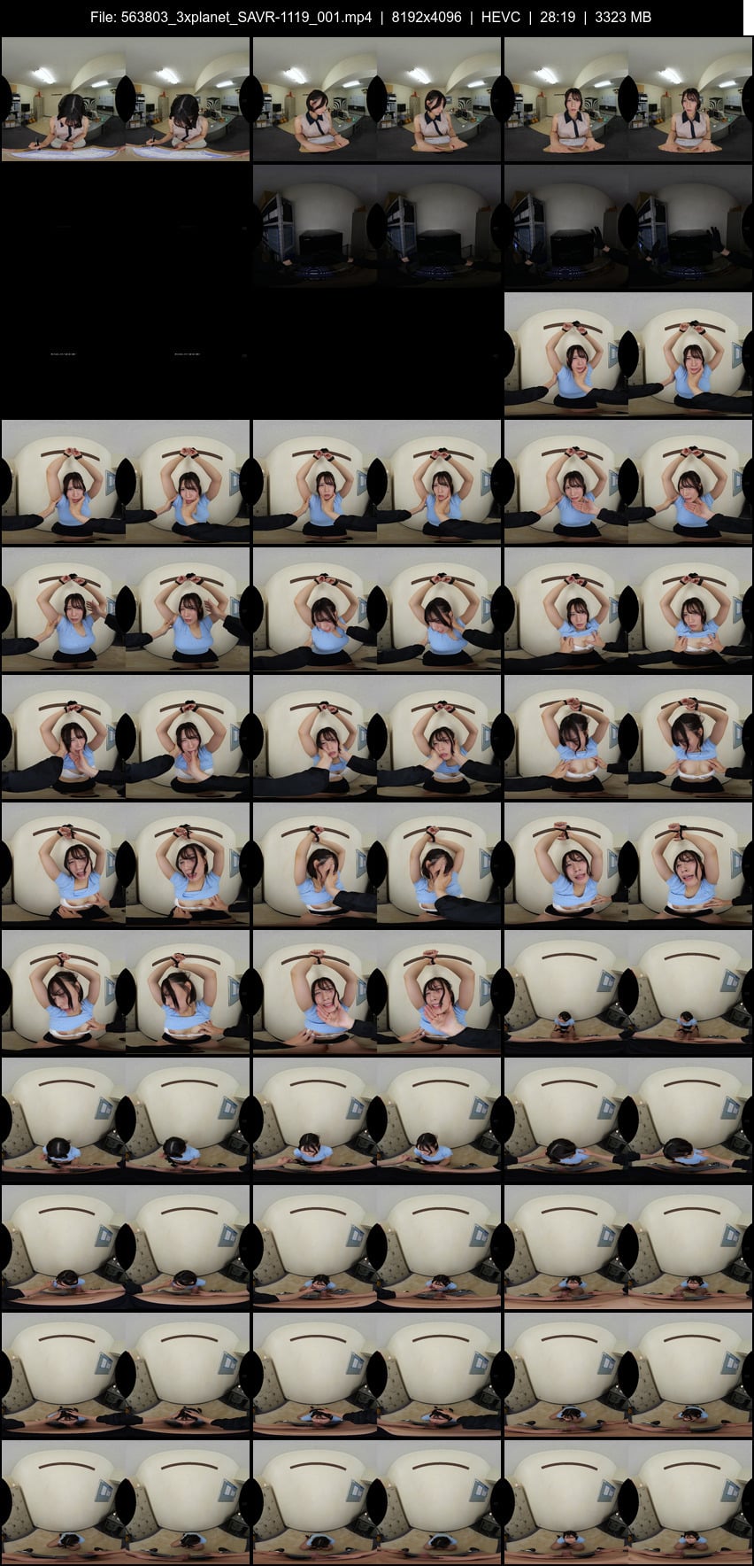 SAVR-1119 screens previewer