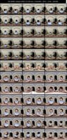 SAVR-1119 Miyagi Rie