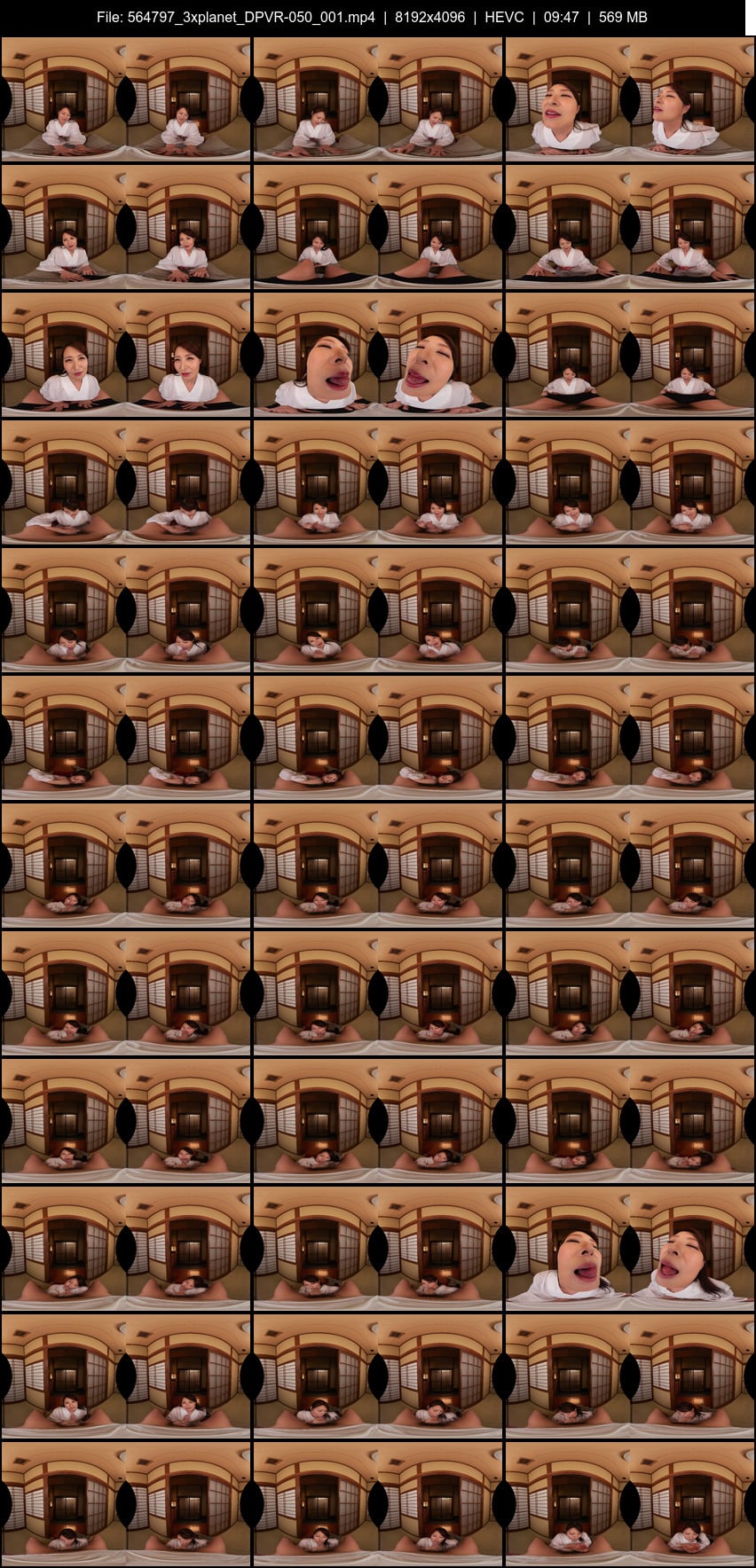 DPVR-050 screens previewer